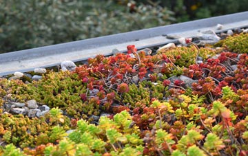 the cost of Candle Street green roof installation