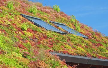 Candle Street living roof systems